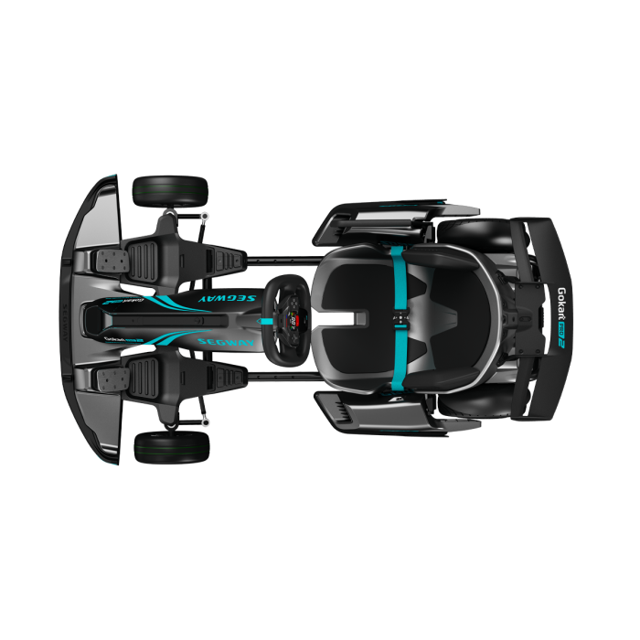 Segway GoKart <b>Pro 2</b> фотографии