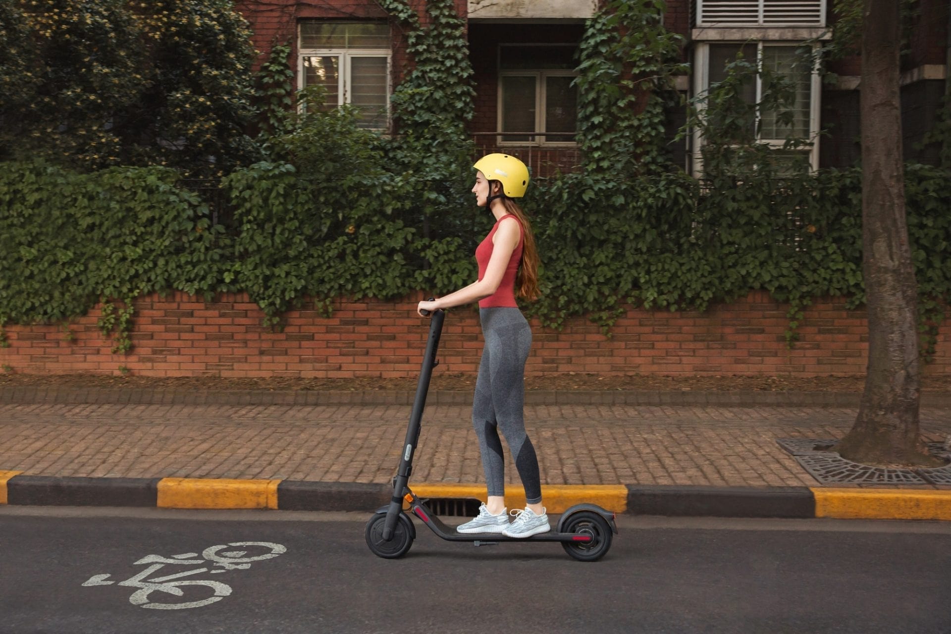 Ninebot <b>KickScooter E25E</b>