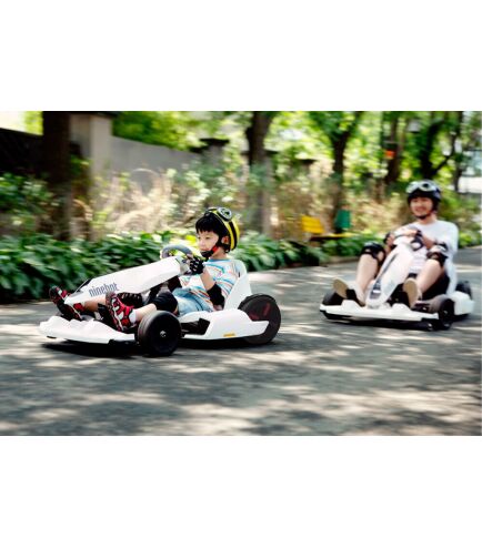 Ninebot GoKart Kit <b>+ miniPro White</b>