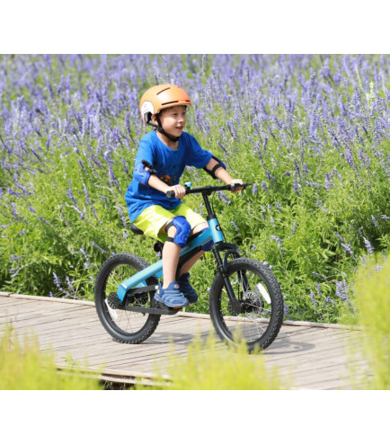 Велосипед Ninebot <b>Kids Bike 18 </b>