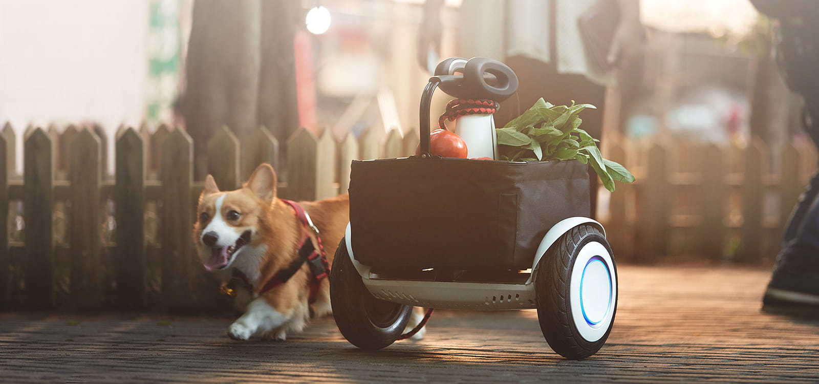 Покупки в магазині з гіроскутером Segway S-PLUS